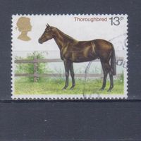 [1178] Великобритания. Фауна.Лошадь. Гашеная марка.