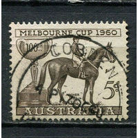 Австралия - 1960 - Кубок Мельбурна. Скаковая лошадь - [Mi. 307] - полная серия - 1 марка. Гашеная.  (Лот 17FA)-T25P8