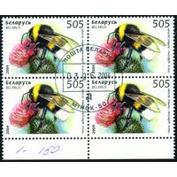 Пчёлы, осы, шмели Беларусь 2004 год (574) квартблок