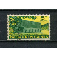 Папуа Новая Гвинея - 1961 - Архитектура 5Р - [Mi.27] - 1 марка. Гашеная.  (LOT FF19)-T10P11