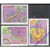 Фауна Насекомые Бабочки Гусеницы 2001 Сомали MNH