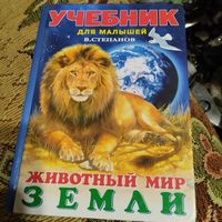 Учебник для малышей. В.Степанов.  Животный мир Земли. Худ.Приходкин.