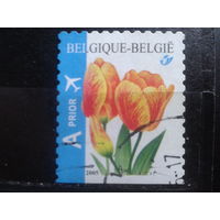 Бельгия 2005 Тюльпаны, марка из буклета