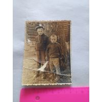 Старое фото дети у дерева