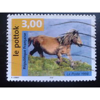 Франция 1998 конь