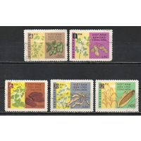 Флора Плоды Вьетнам 1962 год серия из 5 марок