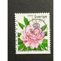 Швеция 2001. Цветы - Пионовидные розы