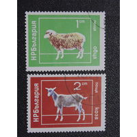 Болгария 1974 г. Домашние животные. Овца и коза.