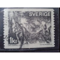 Швеция 1970 Стандарт, Бергман