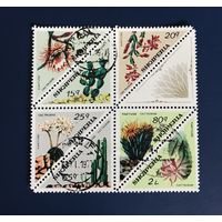 Албания 1973 год Флора Цветы Кактусы Малый лист Полная Серия Mi:1612-1619II Гашеные