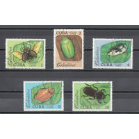 Куба.1988.Насекомые-жуки (5 марок)