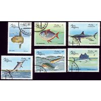 6 марок 1981 год Куба Акулы 2534-2539