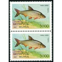 Редкие виды рыб водоемов Беларусь 1997 год (230) сцепка из 2-х марок