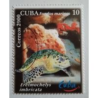 Куба 2000. Морская жизнь