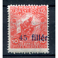 Венгрия - 1919г. - Темесвар, надпечатка 45 f - 1 марка - MNH. Без МЦ!