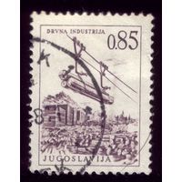 1 марка 19966 год Югославия 1171