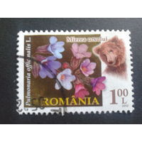 Румыния 2012 цветы, медведь