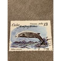 Куба 1980. Дельфины. Ziphius cavirostris. Марка из серии
