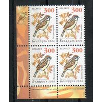 Девятый стандартный выпуск "Птицы сада" Беларусь 2006 год (655) 1 марка в квартблоке (простая бумага)
