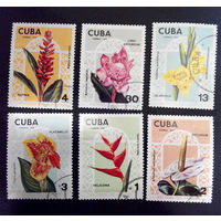 Куба 1974 г. Цветы. Флора. полная серия из 6 марок #0064-Ф1