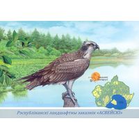 Беларусь 2022 ландшафтный заказник "Освейский" фауна птицы