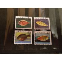 Вьетнам фауна рыбы (4-6)