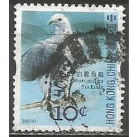Гонконг. Птицы. Белобрюхий орлан. 2006г. Mi#1387.