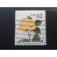 США 1996 стандарт, роза