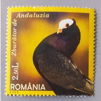 Голубь. Румыния, 2005