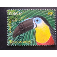 Франция 2003 птица
