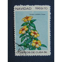 Куба 1969 г. Цветы.