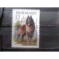 Бельгия 1986 Собака