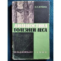 И.И. Журавлев  Диагностика болезней леса.  1962 год