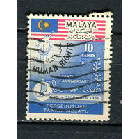 Малайская Федерация - 1958 - Всеобщая декларация прав человека, 10 лет 10С - [Mi.10] - 1 марка. Гашеная.  (Лот 53FB)-T25P9