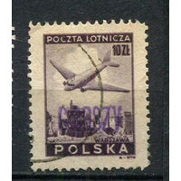 Польша - 1950 - Надпечатка Groszy на 10Zl - [Mi.B564] - 1 марка. Гашеная.  (Лот 16Df)