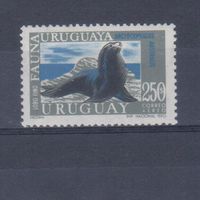 [1710] Уругвай 1970. Фауна.Морской лев. Одиночный выпуск. MNH