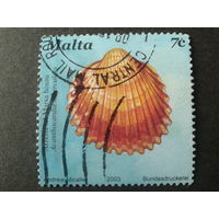 Мальта 2003 ракушка