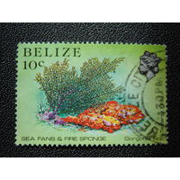 Британский Белиз 1984 г. Морская фауна.