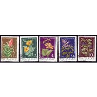 5 марок 1972 год Лекарственные растения 4038-4042