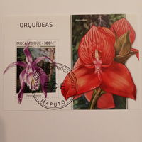 Мозамбик 2018. Флора. Орхидеи
