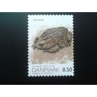 Дания 2010 жаба
