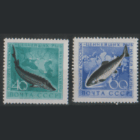 Заг. 2246/47. 1959. Охрана морской фауны. чиСт.