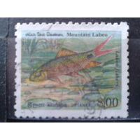 Шри-Ланка 1990 Рыба