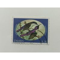 Замбия 1994. Птицы