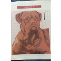 Схема вышивки крестом Собака 120*140 Цветная, формат А4
