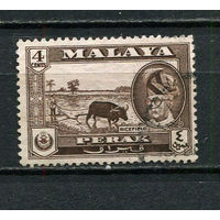 Малайские штаты - Перак - 1957/1961 - Султан Юсуф Изсуддин Шах и рисовое поле 4С - [Mi.105] - 1 марка. Гашеная.  (Лот 61FB)-T25P9