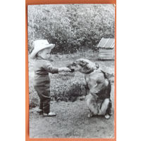 Робский М. Фарбер Г.  Мальчик с собакой. Фотооткрытка. 1964 г. Чистая.
