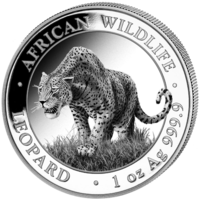Сомали, 100 шиллингов, 2023г. " Леопард " монета серебро