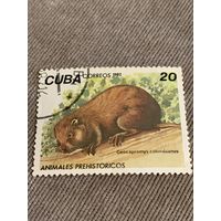 Куба 1982. Доисторические животные. Geocapromys colombianus. Марка из серии