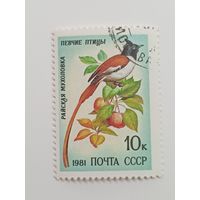 1981 СССР. Певчие птицы. Райская мухоловка